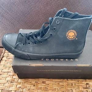 Harley Davidson sneaker